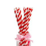 25Pcs Paper Drinking Straws